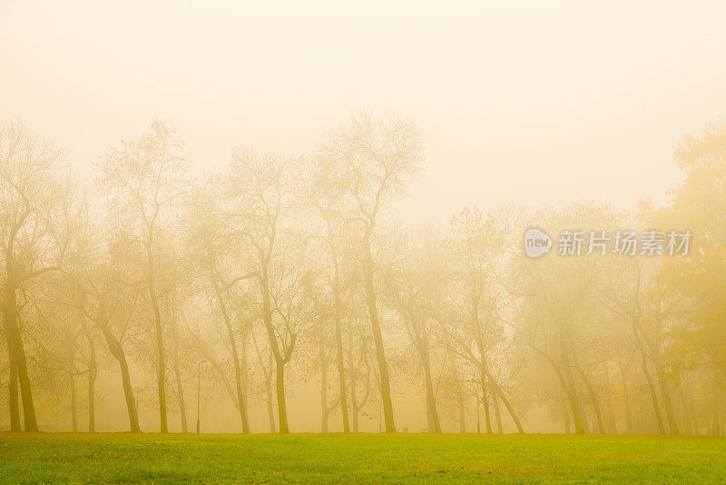 雾瀑景观- 36mpx